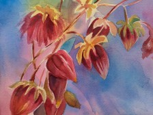A Study of Colours