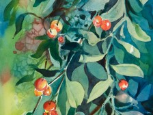 Berries in the Wild #2