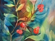 Berries in the Wild