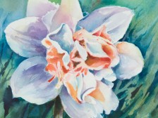 Blossoming