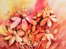Daisies 1
