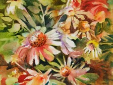 Daisies 2