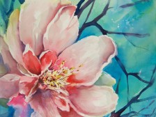 For the Love of Peonies