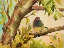 Friends of the Forest