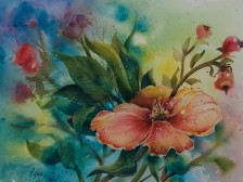 Full Bloom 1