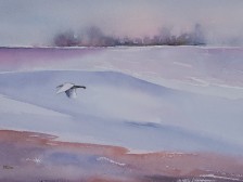 In Flight